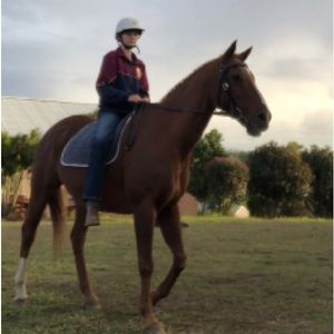 Meet your Posher, Charlotte